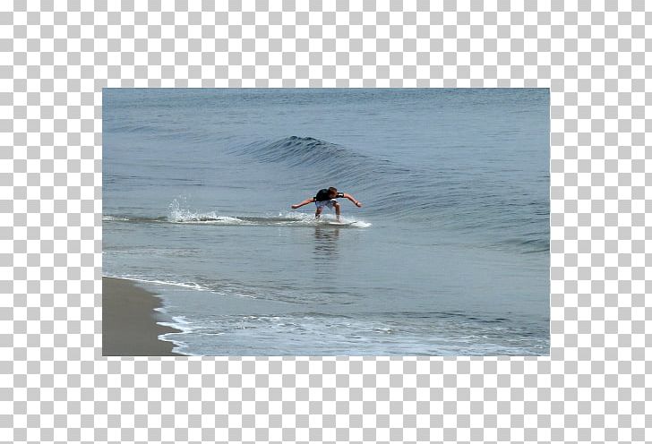 Surfing 09738 Surfboard Shore Ocean PNG, Clipart, Arctic, Boardsport, Coastal And Oceanic Landforms, Group Of Seven, Inlet Free PNG Download