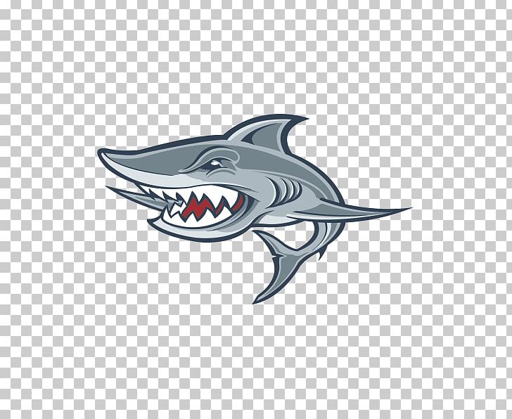 Tiger Shark Logo Requiem Shark Automotive Design PNG, Clipart, Animals, Automotive Design, Cartilaginous Fish, Color, Color Printing Free PNG Download