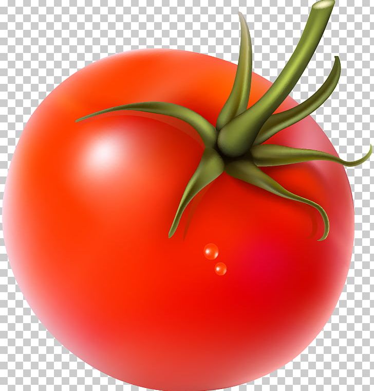Cherry Tomato Vegetarian Cuisine Vegetable PNG, Clipart, Bell Pepper, Diet Food, Encapsulated Postscript, Food, Food Drinks Free PNG Download