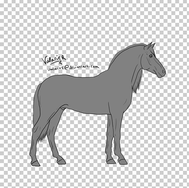 Mule Foal Stallion Mare Border Collie PNG, Clipart, Border Collie, Bridle, Character, Colt, Fictional Character Free PNG Download