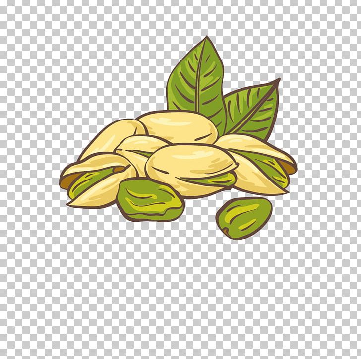 Pistachio Ice Cream Nut Illustration PNG, Clipart, Cartoon, Dried, Dried Fruit, Food, Fruit Free PNG Download