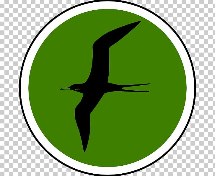 Beak Water Bird Fauna PNG, Clipart, Beak, Bird, Ecosystem, Fauna, Grass Free PNG Download