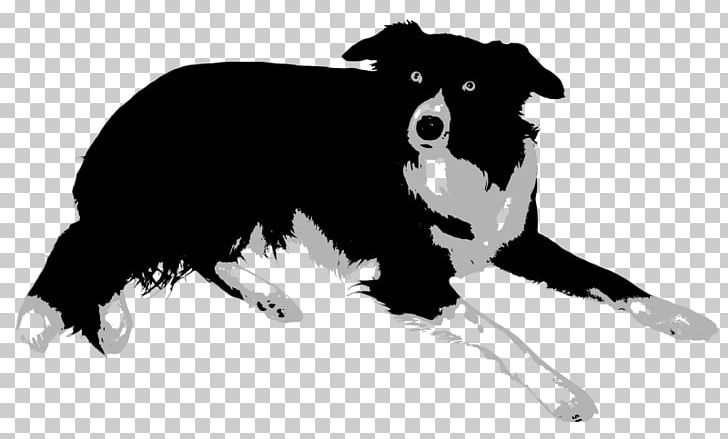 Border Collie Rough Collie Bearded Collie Old English Sheepdog Central Asian Shepherd Dog PNG, Clipart, Black, Black And White, Bordercollie, Border Collie, Carnivoran Free PNG Download