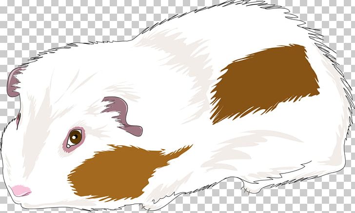 Guinea Pig Mouse Cat Dog Rat PNG, Clipart, Animal, Animals, Canidae, Carnivoran, Cat Free PNG Download