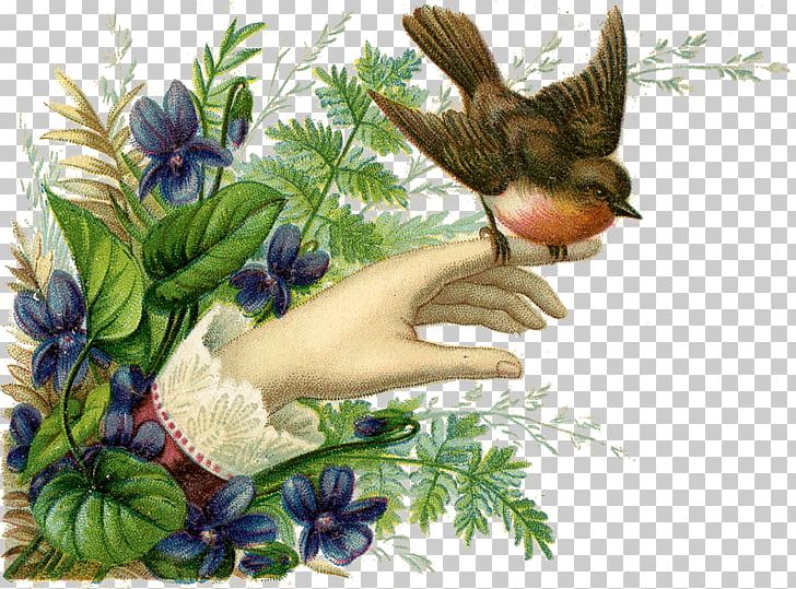Hummingbird European Robin Flower Ceramic PNG, Clipart, Animals, Art, Beak, Bird, Bird Feeders Free PNG Download