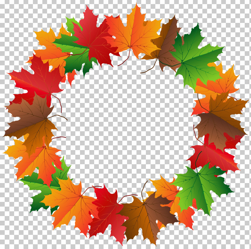 Maple Leaf PNG, Clipart, Autumn, Black Maple, Leaf, Maple, Maple Leaf Free PNG Download