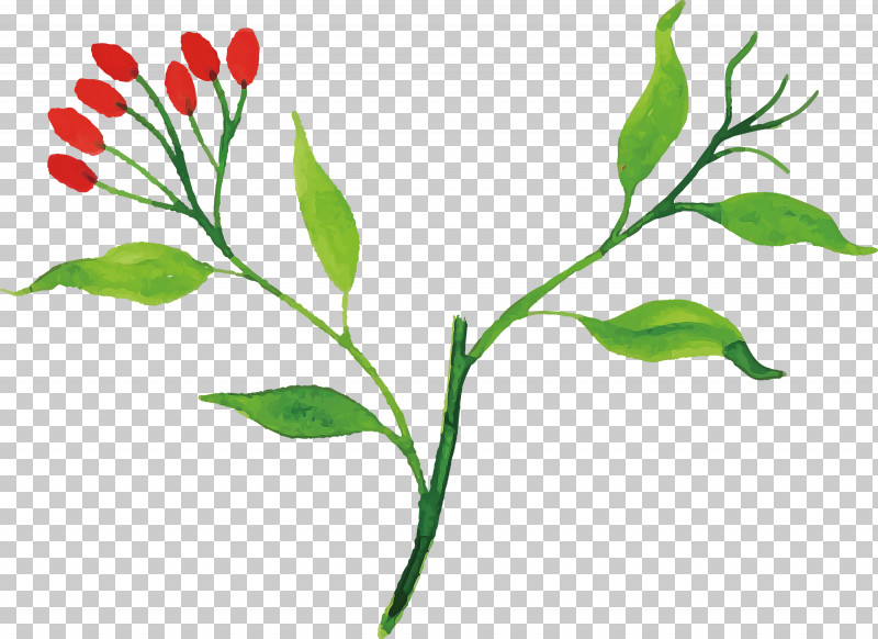 Floral Design PNG, Clipart, Biology, Floral Design, Flower, Hemp, Leaf Free PNG Download