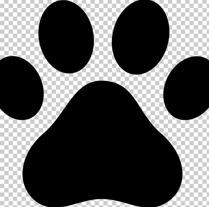 Chihuahua Cat Paw Boxer PNG, Clipart, Animals, Black, Black And White, Boxer, Cat Free PNG Download