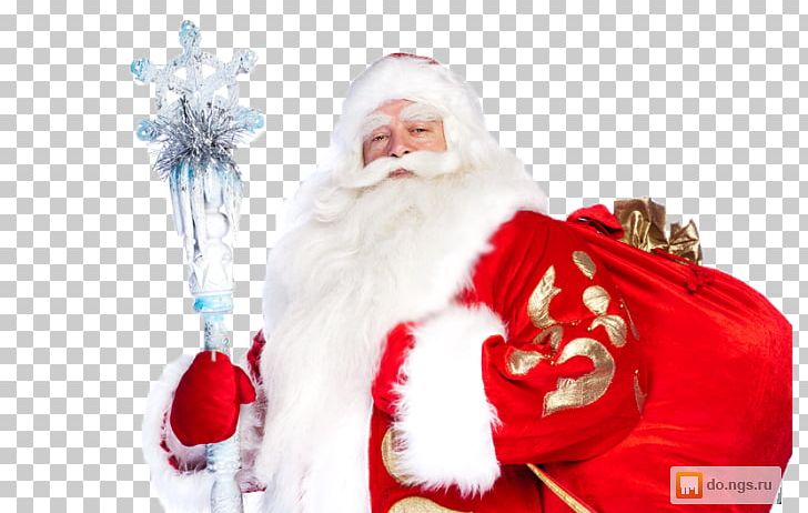 Ded Moroz Snegurochka Santa Claus Grandfather Ziuzia PNG, Clipart, Birthday, Christmas, Christmas Decoration, Christmas Ornament, Costume Free PNG Download
