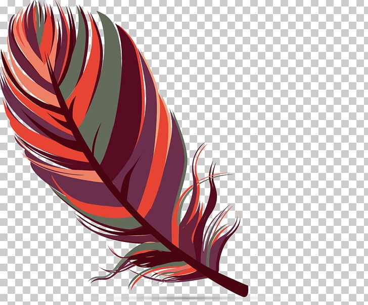 Bird Feather PNG, Clipart, Animals, Bird, Color, Download, Drawing Free PNG Download