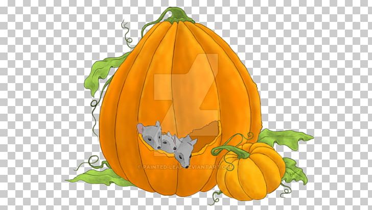 Pumpkin Calabaza Winter Squash Gourd Vegetarian Cuisine PNG, Clipart, Calabaza, Commodity, Cucumber Gourd And Melon Family, Cucurbita, Food Free PNG Download