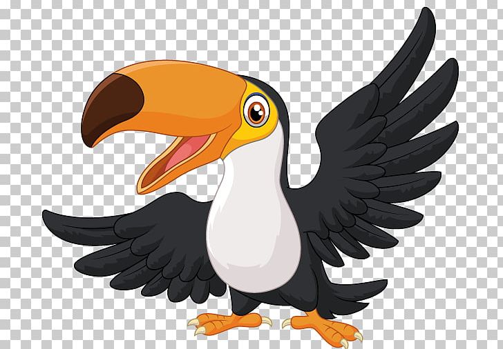 Toucan PNG, Clipart, Animal, Beak, Bird, Bird Cartoon, Bird Of Prey Free PNG Download