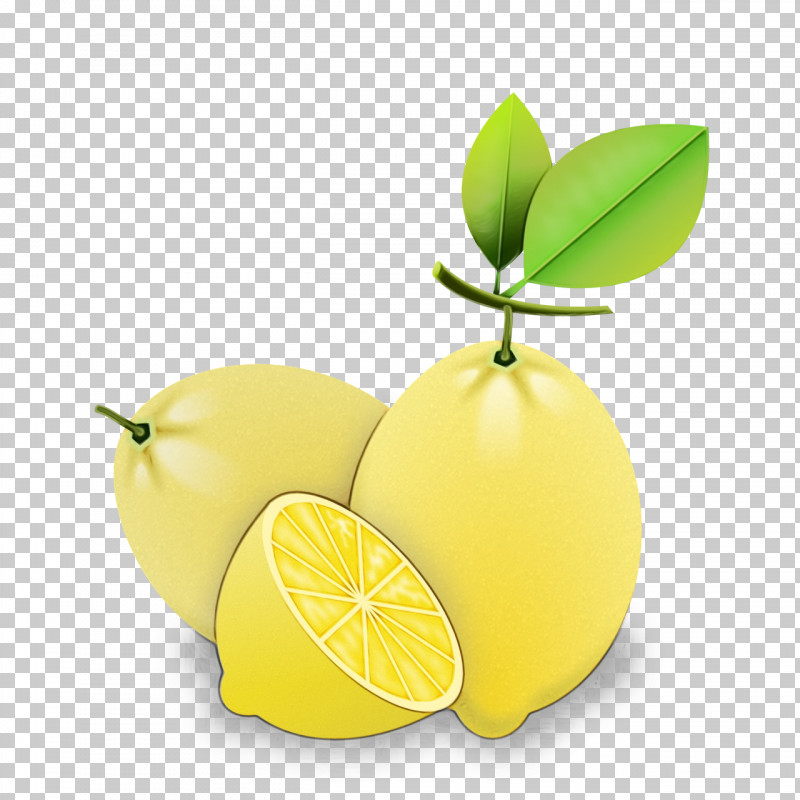 Lemon Key Lime Citron Persian Lime Lime PNG, Clipart, Acid, Citric Acid, Citron, Citrus Fruit, Key Lime Free PNG Download