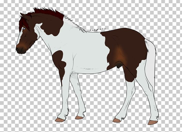 Foal Mane Stallion Rein Mustang PNG, Clipart, Animal Figure, Bridle, Camira, Cartoon, Colt Free PNG Download