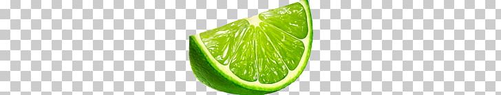 Lime PNG, Clipart, Lime Free PNG Download