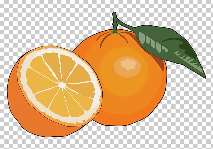 Orange Juice Fruit Mandarina Food PNG, Clipart, Bitter Orange, Citric Acid, Citrus, Clementine, Diet Food Free PNG Download