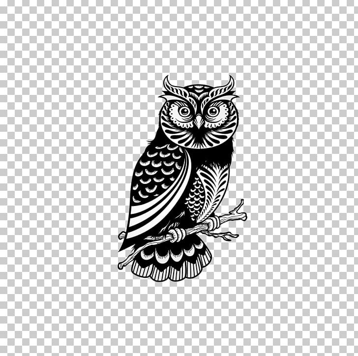 Owl Drawing Illustration PNG, Clipart, Animal, Animals, Art, Bird, Bird Of Prey Free PNG Download