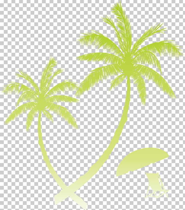 Sunset Beach PNG, Clipart, Beach, Branch, Cartoon, Christmas Tree, Coconut Free PNG Download