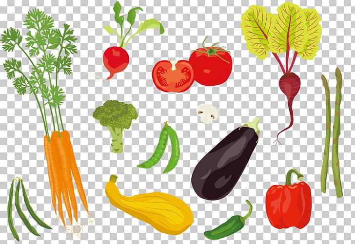 Tomato Adobe Illustrator Illustration PNG, Clipart, Art, Creative Design, Encapsulated Postscript, Food, Fruit Free PNG Download