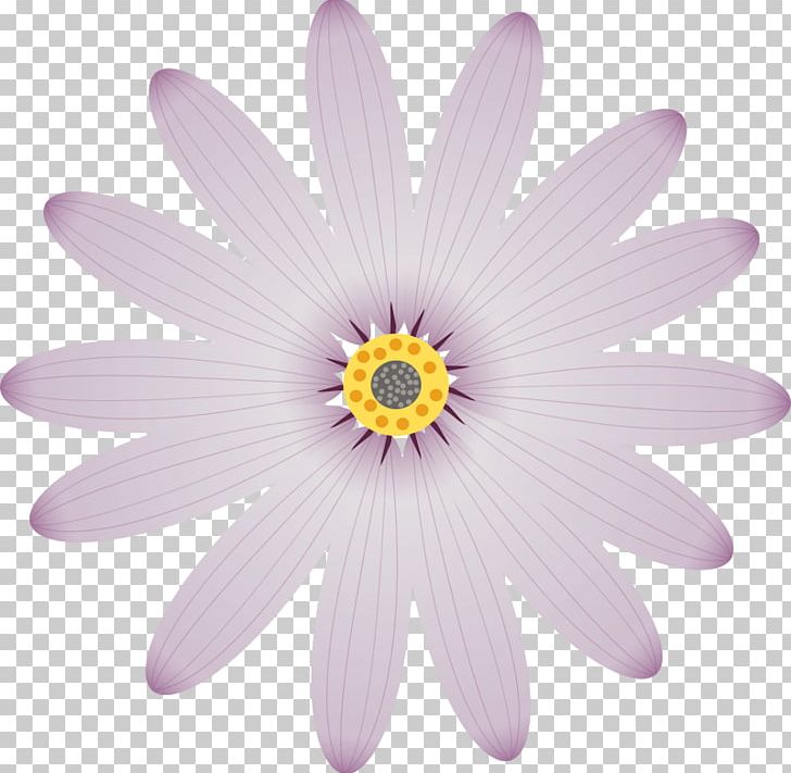 Petal Flower PNG, Clipart, Byte, Color, Daisy Family, Flower, Flowering Plant Free PNG Download