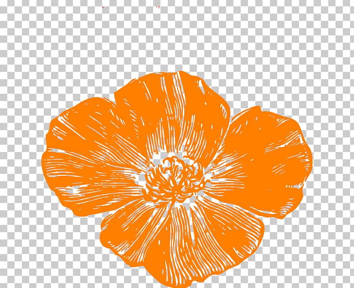 Remembrance Poppy PNG, Clipart, Anzac Day, Armistice Day, California Poppy, Common Poppy, Computer Icons Free PNG Download