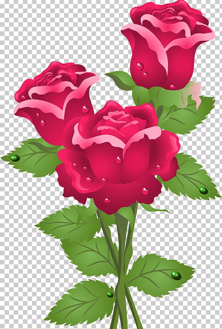 Rose Flower PNG, Clipart, Annual Plant, Computer Icons, Cut Flowers, Download, Floribunda Free PNG Download