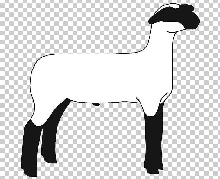 Suffolk Sheep Hampshire Sheep Boer Goat Open PNG, Clipart, Agriculture, Black, Black And White, Black Sheep, Boer Goat Free PNG Download