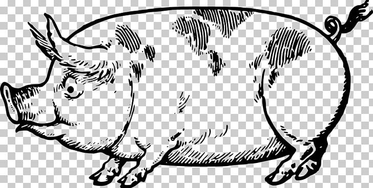 Pig Drawing Made Easy: A Helpful Book For Young Artists; The Way To Begin And Finish Your Sketches Clearly Shown Step By Step Line Art PNG, Clipart, Animals, Art, Artwork, Black, Black And White Free PNG Download