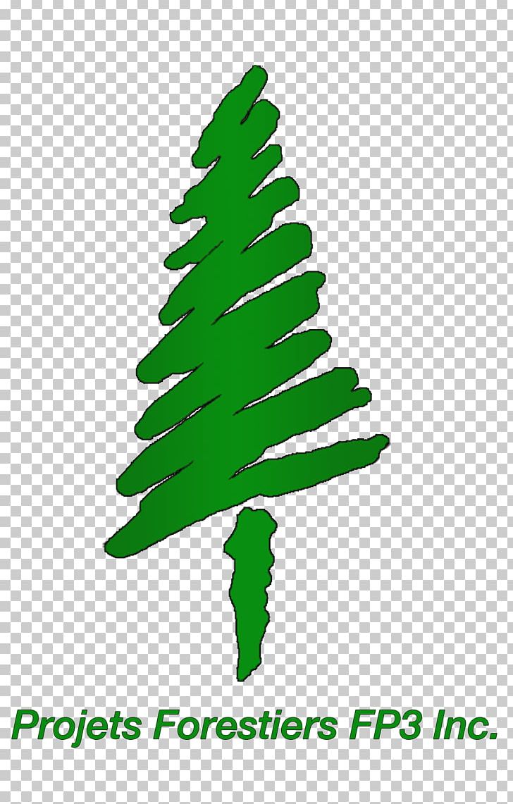 Spruce Forest Christmas Tree Plant Stem PNG, Clipart, Artwork, Christmas Decoration, Christmas Tree, Conifer, Fir Free PNG Download
