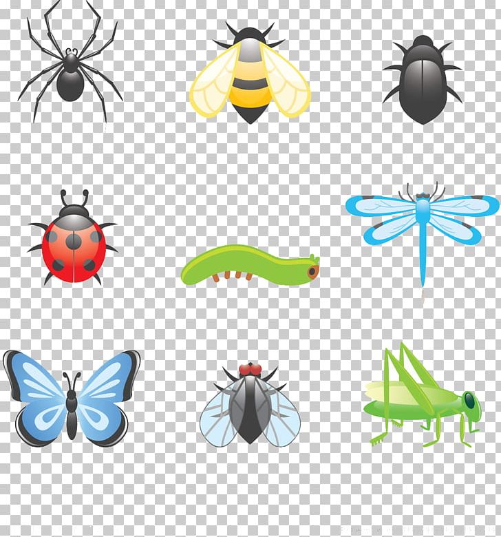 Beetle Cartoon PNG, Clipart, Animal, Animals, Artwork, Beetle, Birds And Insects Free PNG Download