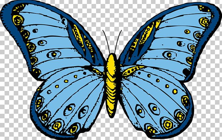 Butterfly Free Content PNG, Clipart, Arthropod, Blog, Blue Butterfly Pictures, Brush Footed Butterfly, Butterflies And Moths Free PNG Download