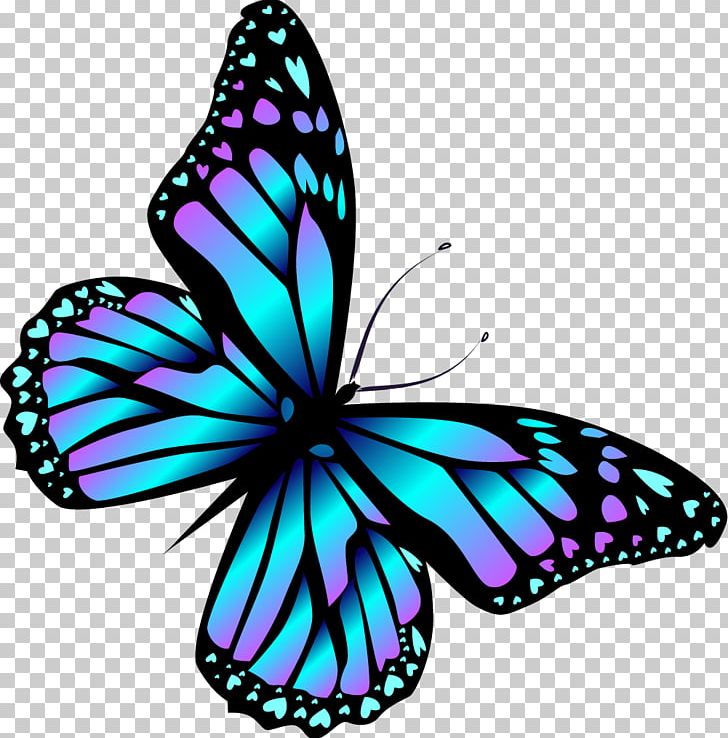Butterfly Portable Network Graphics Graphics PNG, Clipart, Blue, Blue Butterfly, Blue Clipart, Brush Footed Butterfly, Bug Free PNG Download