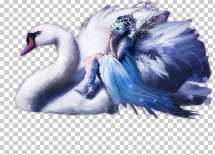 Mute Swan Bird Black Swan Desktop PNG, Clipart, Animals, Art, Beak, Bird, Black Swan Free PNG Download