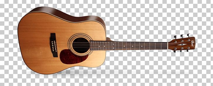 Dreadnought Cort Guitars Steel-string Acoustic Guitar PNG, Clipart,  Free PNG Download