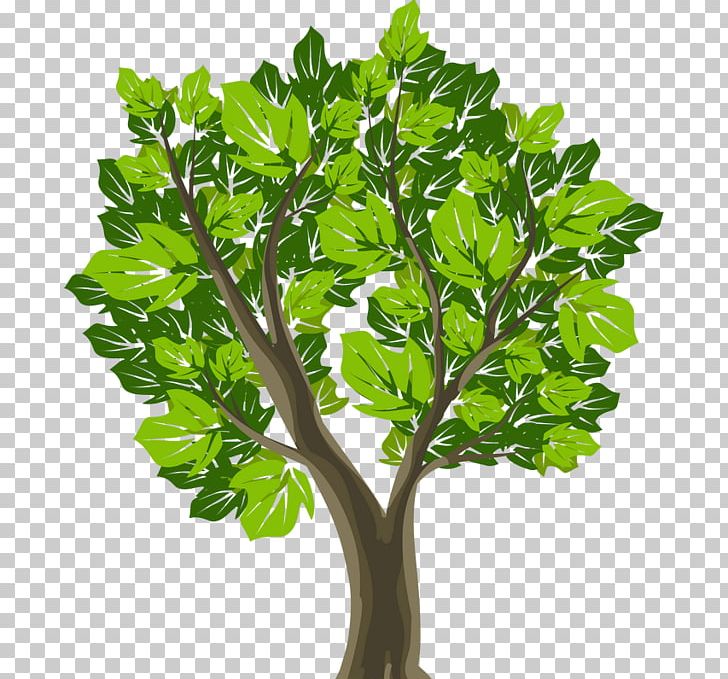 Tree Symbol Graphic Design PNG, Clipart, Branch, Evergreen, Flowerpot, Herb, House Free PNG Download