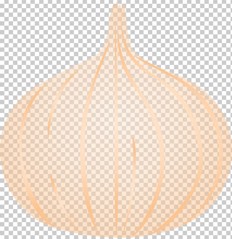 Onion PNG, Clipart, Ceiling, Ceiling Fixture, Lighting, Onion Free PNG Download