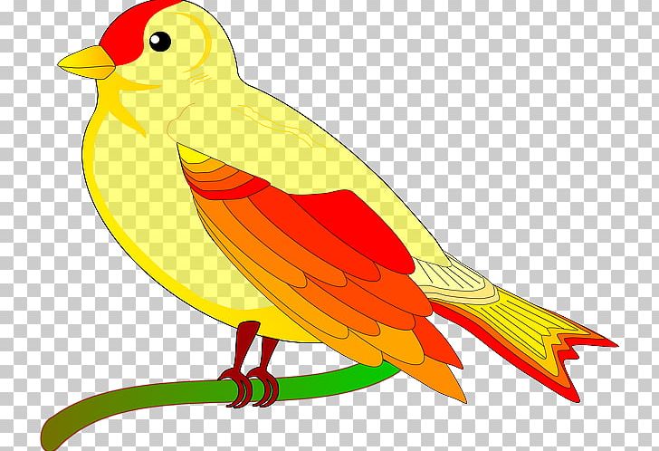 Bird Columbidae PNG, Clipart, Animals, Art, Artwork, Beak, Bird Free PNG Download