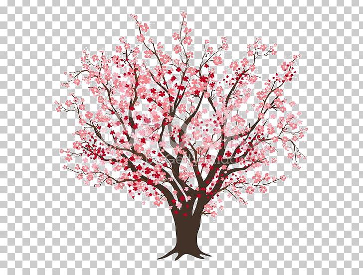 Cherry Blossom Tree PNG, Clipart, Balloon Cartoon, Blooming, Blossom, Branch, Cartoon Eyes Free PNG Download