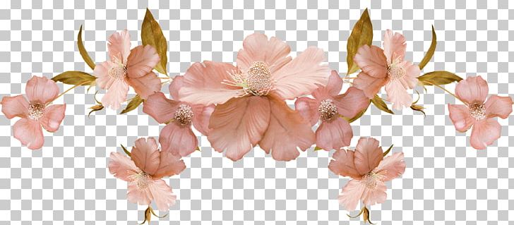Cut Flowers Flower Bouquet Plant Stem Tulip PNG, Clipart, Blossom, Branch, Cherry Blossom, Cut Flowers, Flower Free PNG Download