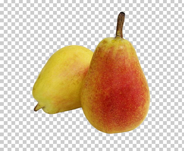 Pear Ercolina Accessory Fruit Tart PNG, Clipart, Accessory Fruit, Apple, Auglis, Batidos, Dietary Fiber Free PNG Download