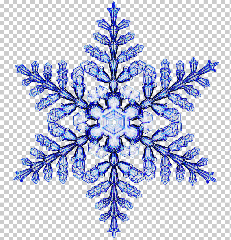 Christmas Decoration PNG, Clipart, American Larch, Branch, Christmas Decoration, Cobalt Blue, Colorado Spruce Free PNG Download