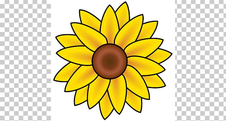Common Sunflower PNG, Clipart, Art, Common Sunflower, Cut Flowers, Flower, Flower Clip Art Free PNG Download