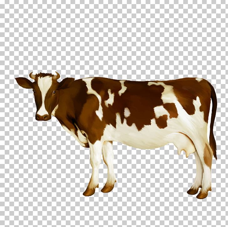 Dairy Cattle Milk Calf PNG, Clipart, Animals, Beef Cattle, Brown, Cow Goat Family, Farm Free PNG Download