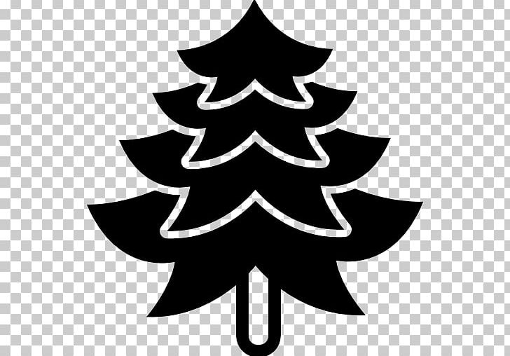 Fir Spruce Christmas Tree Christmas Ornament PNG, Clipart, Black And White, Branch, Christmas, Christmas Decoration, Christmas Ornament Free PNG Download