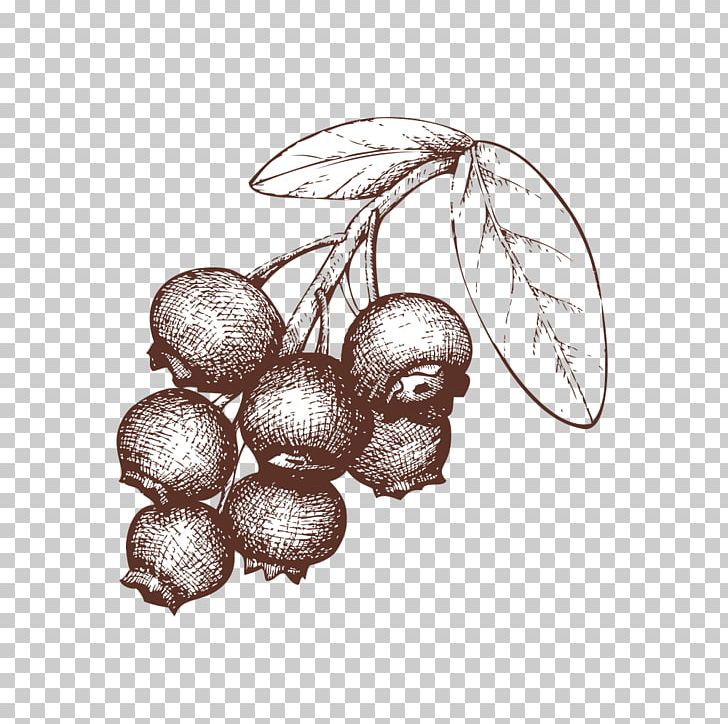 Berry Tart Drawing Illustration PNG, Clipart, Arrow Sketch, Berry, Bilberry, Blackcurrant, Blueberries Free PNG Download