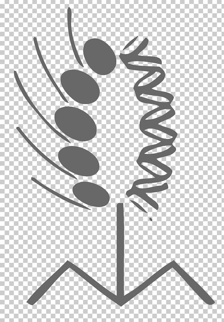 Doctor Biology Logo PNG, Clipart, Biology, Black And White, Doctor, Genetics, Line Free PNG Download