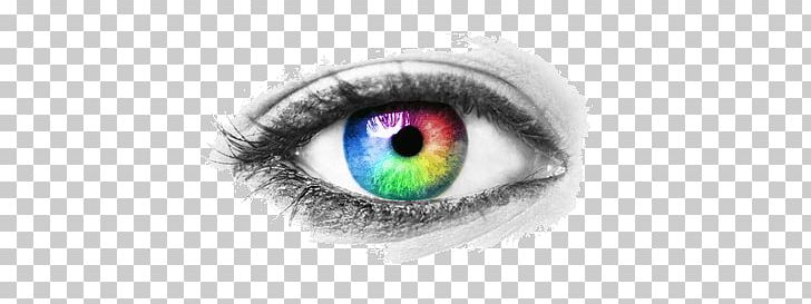 Eye Colours PNG, Clipart, Eyes, People Free PNG Download