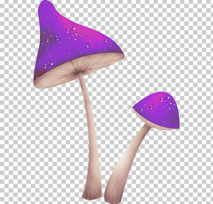 Fungus Mushroom PNG, Clipart, Agaricus, Amanita, Clip Art, Digital Image, Encapsulated Postscript Free PNG Download