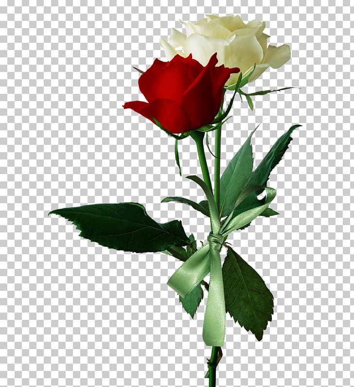 Garden Roses Cut Flowers Flower Bouquet PNG, Clipart, Cut Flowers, Desktop Wallpaper, Floral Design, Floristry, Flower Free PNG Download