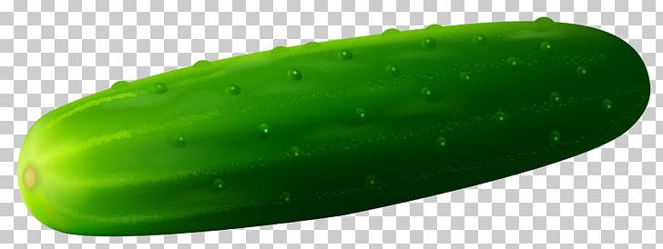 Pickled Cucumber Vegetable PNG, Clipart, Animation, Cucumber, Cucumber Gourd And Melon Family, Cucumis, Download Free PNG Download